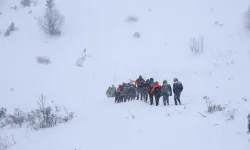 Çığ Felaketi: 1 Ölü, 2 Çoban İçin Arama Çalışmaları Sürüyor
