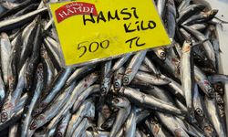 Tezgah Durgun Fiyatlar Hareketli