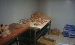 Çayırova’da Merdiven Altında Et Skandalı!