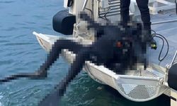 Kocaeli'de Denizden Çıkan Ceset İncelendi