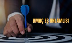 Amaç Eş Anlamlısı Nedir? Amaç Kelimesinin Eş Anlamlısı