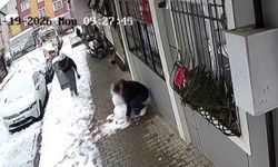 Kardan Adamı Kökünden Söküp Çaldı