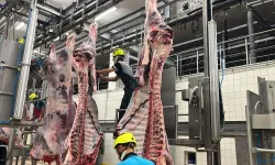 Kocaeli’de 2025 Yılında 6 Bin 29 Hayvan Kesildi