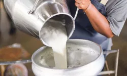 Çiğ Süte Zam Geldi