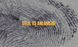 Delil Eş Anlamlısı Nedir? Delil Kelimesinin Eş Anlamlısı
