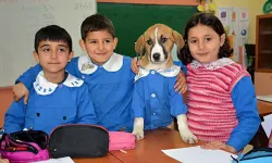 Kocaeli'nin O İlçesinde Okullar Tatil Edildi