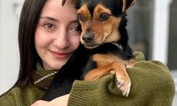 Boncuk Köpek Tehdit Ediliyor! Fenomen Fatma Arat İsyan Etti