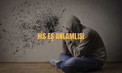 His Eş Anlamlısı Nedir? His Kelimesinin Eş Anlamlısı