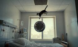 Hastanede serum takılırken kafasına kedi düştü