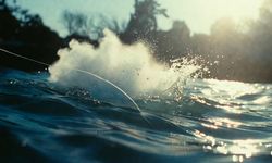 Balık Avında Dinamit Patladı! Can Kaybı Var