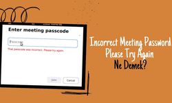 Incorrect Meeting Password Please Try Again Ne Demek?