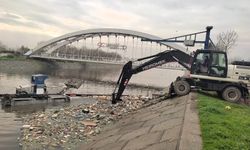 Bu Temizlik Körfezi Koruyor