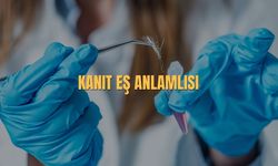 Kanıt Eş Anlamlısı Nedir? Kanıtın Kelimesinin Eş Anlamlısı