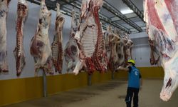 Kasapların Güvendiği Adres: Kocaeli Büyükşehir Mezbahası