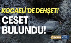 Kocaeli'de Ceset Bulundu!
