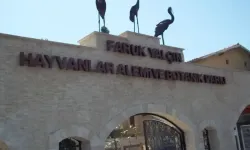Darıca Hayvanat Bahçesi Kapandı