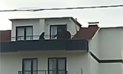 FETÖ Firarisi Üsteğmen'e Film Gibi Operasyon