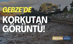 Gebze'de Korkutan Görüntü!