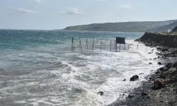 Sahile Çocuk Cesedi Vurdu