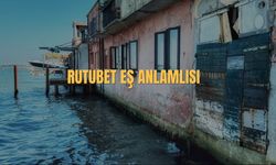 Rutubet Eş Anlamlısı Nedir? Rutubet Kelimesinin Eş Anlamlısı