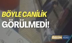 Böyle Canilik Görülmedi!