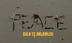Sulh Eş Anlamlısı Nedir? Sulh Kelimesinin Eş Anlamlısı