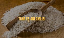 Tane Eş Anlamlısı Nedir? Tane Kelimesinin Eş Anlamlısı