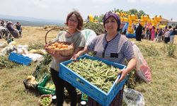 Tarımsal üretime geniş kapsamlı destek