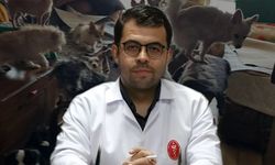 Veteriner Hekimleri Odası: Kandıra’daki hayvan ihmali vahim boyutta