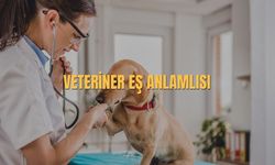 Veteriner Eş Anlamlısı Nedir? Veteriner Kelimesi Eş Anlamlısı