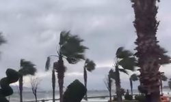 Kocaeli’de Deniz Taştı, Sahiller Dalgalarla Boğuştu!