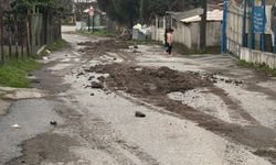 Gebze Çöplük Mü? Kirazpınar Sakinleri İsyanda!