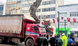 Uyarılar dikkate alınmadı, asırlık çınar hasar gördü