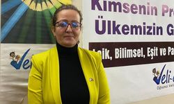 Veli Der: "Seçmeli ders değil, zorunlu dayatma"