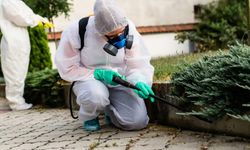 Sağlık tesisleri için haşere ve kemirgenlerle mücadele