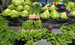 Doğu Kışla Pazarı’nda Tazelik Pahalıya Patladı