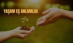 Yaşam Eş Anlamlısı Nedir? Yaşam Kelimesinin Eş Anlamlısı