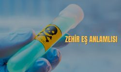 Zehir Eş Anlamlısı Nedir? Zehir Kelimesinin Eş Anlamlısı