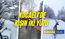 Kocaeli'de Kışın İki Yüzü