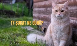 17 Şubat Ne Günü? 17 Şubat Türkiye’de Ne Günü?