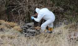 Başı Olmayan Parçalanmış Ceset Bulundu