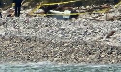 Gizemli Cisim Karaya Vurdu