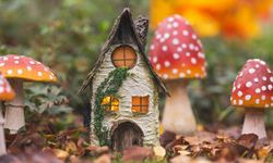 26 Şubat Ne Günü? 26 Şubat Türkiye'de Ne Günü?