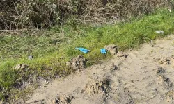 İş Adamının Elini Ayağını Bağlayıp Toprağa Gömdüler