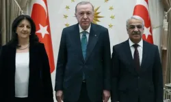 DEM Parti İmralı Heyeti’nden Erdoğan görüşmesine ilişkin açıklama