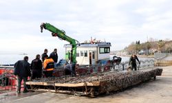 Eskihisar Sahili’nde ekosistemi canlandıracak dip temizliği yapıldı