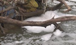 Gebze’de Kocagöl Deresi’nde Zehir Alarmı