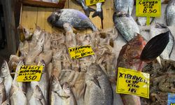 Fırtına Tezgâhları Da Vurdu