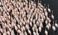 Körfezde Kartpostallık Görüntüler