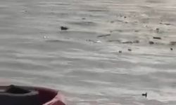 Körfez’de Liman Açıklarında Denize Atık İddiası